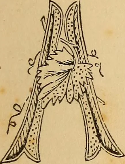 An illustration from Dainty work for pleasure and profit, 1893, leaf 67