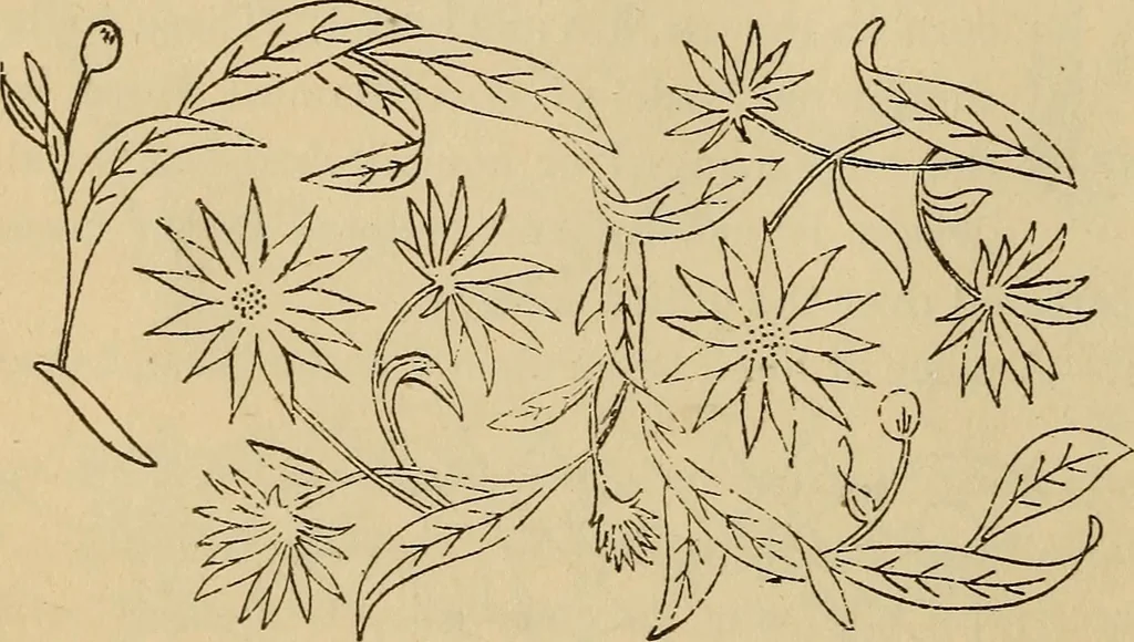 An illustration from Dainty work for pleasure and profit, 1893, leaf 76