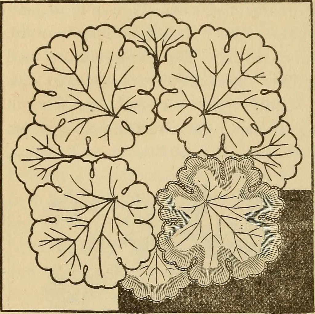An illustration from Dainty work for pleasure and profit, 1893, leaf 78