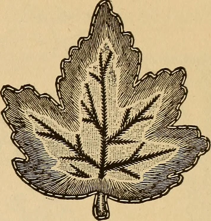 An illustration from Dainty work for pleasure and profit, 1893, leaf 79