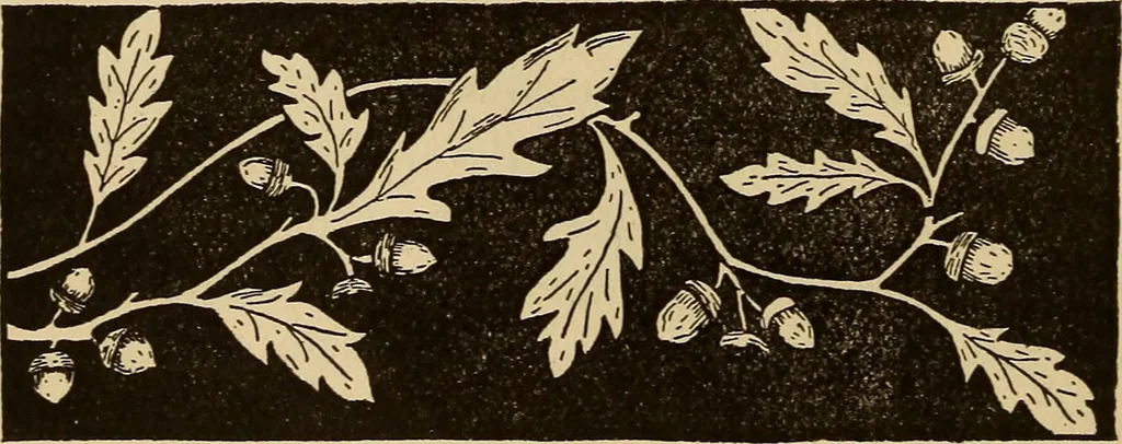 An illustration from Dainty work for pleasure and profit, 1893, leaf 8