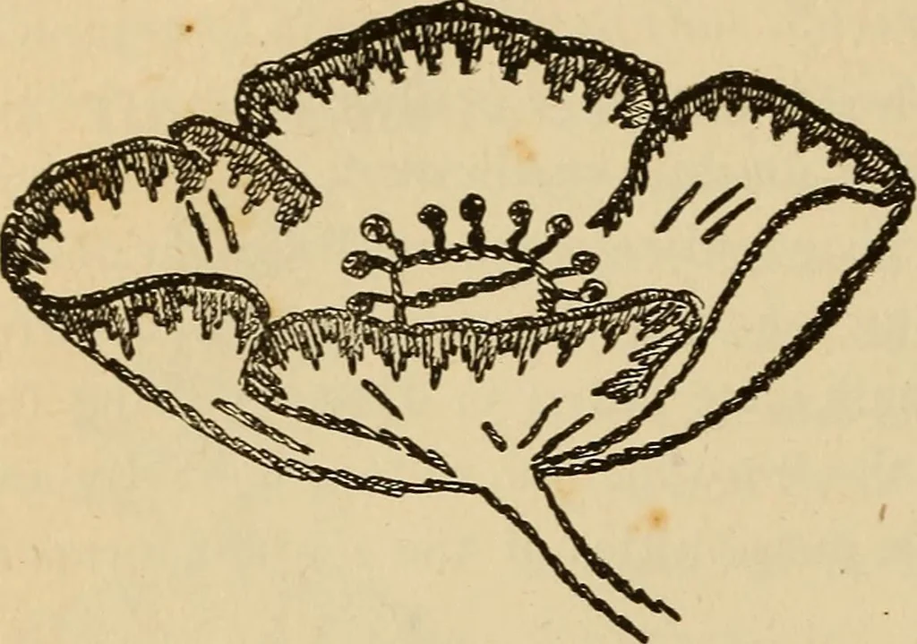 An illustration from Dainty work for pleasure and profit, 1893, leaf 86