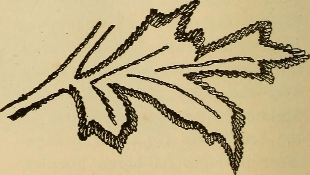 An illustration from Dainty work for pleasure and profit, 1893, leaf 86