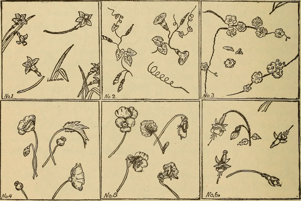 An illustration from Dainty work for pleasure and profit, 1893, leaf 94