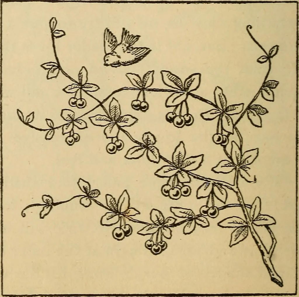 An illustration from Dainty work for pleasure and profit, 1893, leaf 96