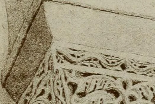 An illustration from Dalmatia, the Quarnero and Istria, with Cettigne in Montenegro and the island of Grado, 1887, leaf 352