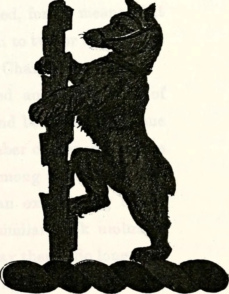 An illustration from Dame heraldry, 1886, leaf 313