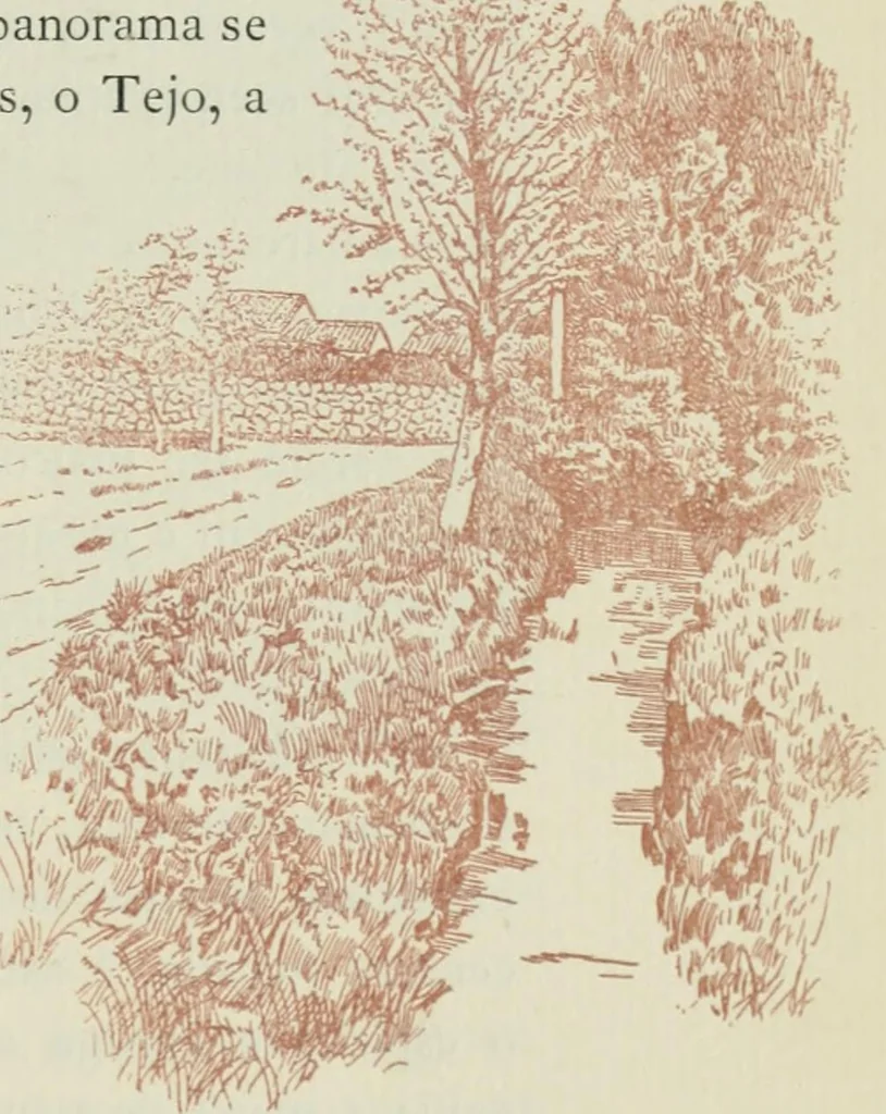 An illustration from Da minha terra: figuras gradas; impressões de arte. Illus. de Roque Gameiro e Santos Silva, 1909, leaf 114
