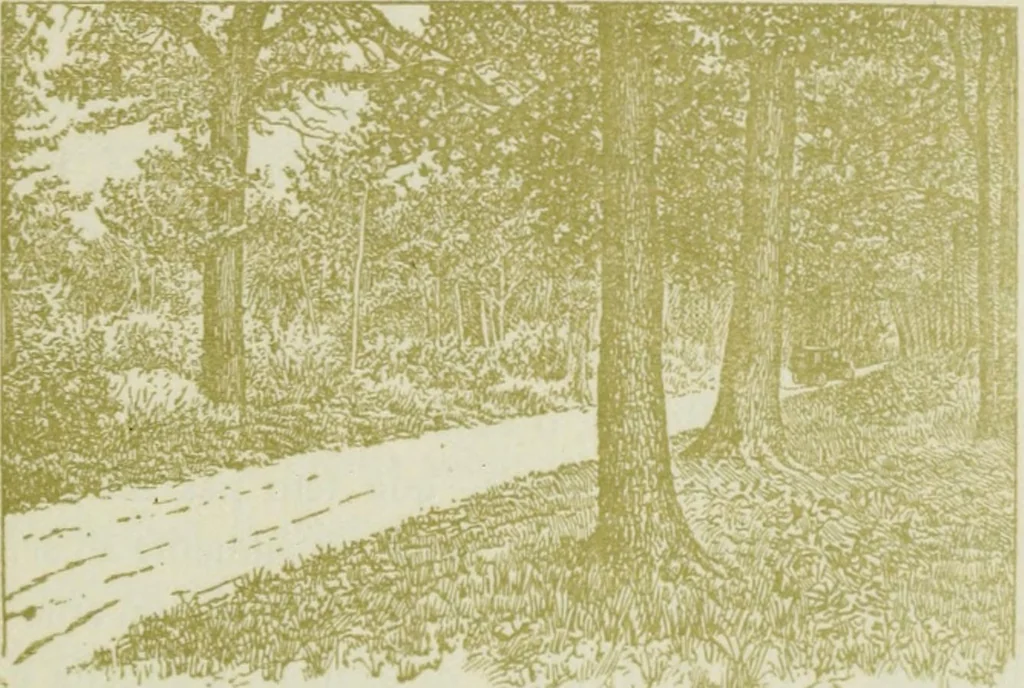 An illustration from Da minha terra: figuras gradas; impressões de arte. Illus. de Roque Gameiro e Santos Silva, 1909, leaf 116
