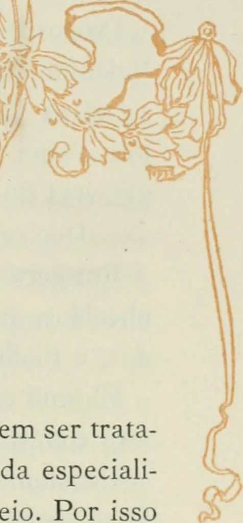 An illustration from Da minha terra: figuras gradas; impressões de arte. Illus. de Roque Gameiro e Santos Silva, 1909, leaf 80