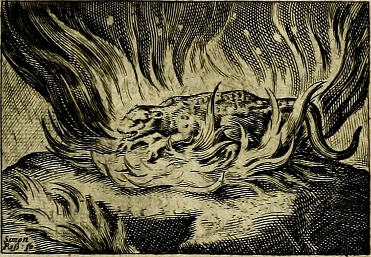 An illustration from Dan. Heinsii Lof-Sanck Van Iesus Christus, den eenigen end eeuwigen Son Godes. Met noodelicke Vytleggingen aenvvÿsende den gront van het out Christelick geloof, in den selven vervat, 1616, leaf 160