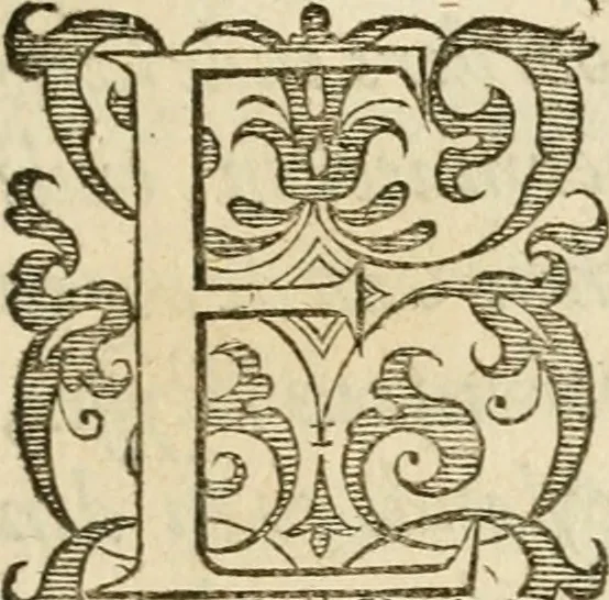 An illustration from Dan. Heinsii Nederduytsche poemata, 1616, leaf 124