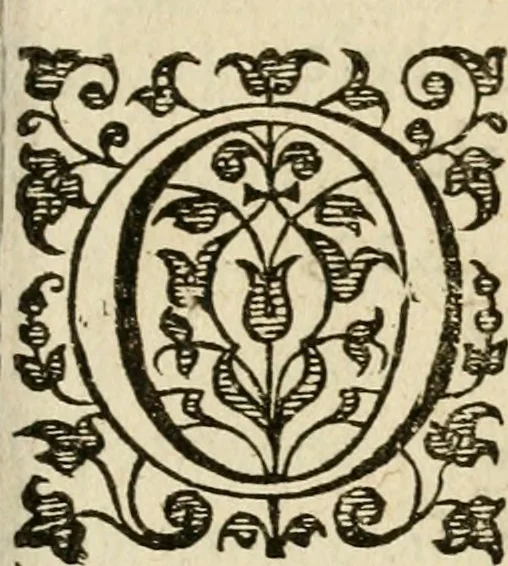 An illustration from Dan. Heinsii Nederduytsche poemata, 1616, leaf 36