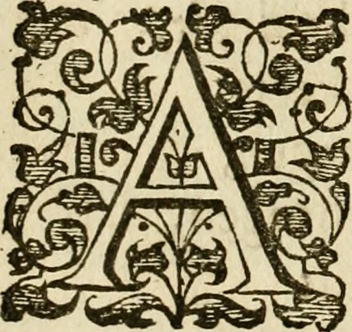 An illustration from Dan. Heinsii Nederduytsche poemata, 1616, leaf 41