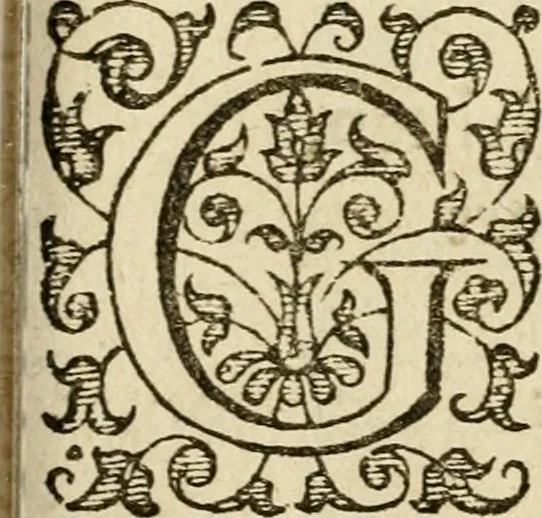 An illustration from Dan. Heinsii Nederduytsche poemata, 1616, leaf 42