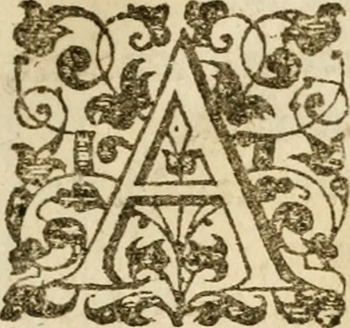 An illustration from Dan. Heinsii Nederduytsche poemata, 1616, leaf 44
