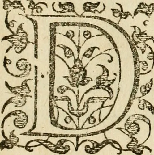 An illustration from Dan. Heinsii Nederduytsche poemata, 1616, leaf 45