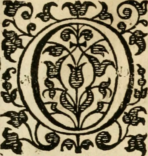 An illustration from Dan. Heinsii Nederduytsche poemata, 1616, leaf 46