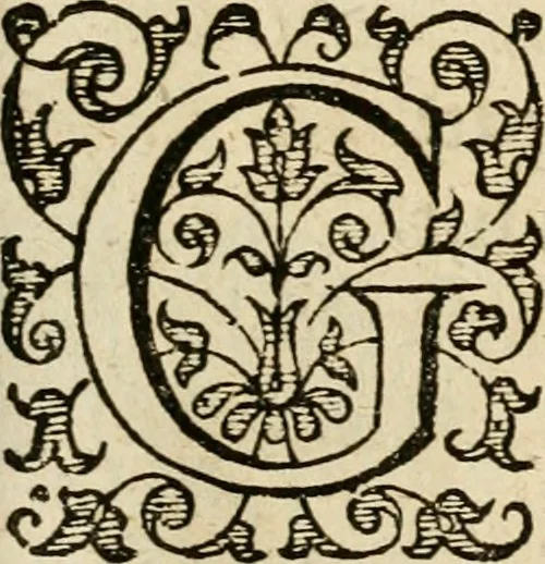 An illustration from Dan. Heinsii Nederduytsche poemata, 1616, leaf 46