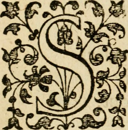 An illustration from Dan. Heinsii Nederduytsche poemata, 1616, leaf 47