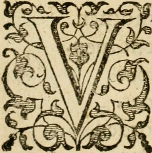 An illustration from Dan. Heinsii Nederduytsche poemata, 1616, leaf 47