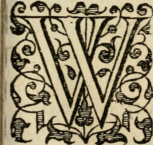 An illustration from Dan. Heinsii Nederduytsche poemata, 1616, leaf 48