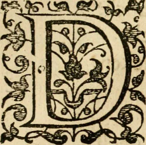 An illustration from Dan. Heinsii Nederduytsche poemata, 1616, leaf 49