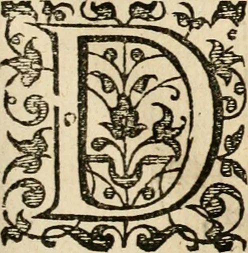 An illustration from Dan. Heinsii Nederduytsche poemata, 1616, leaf 54