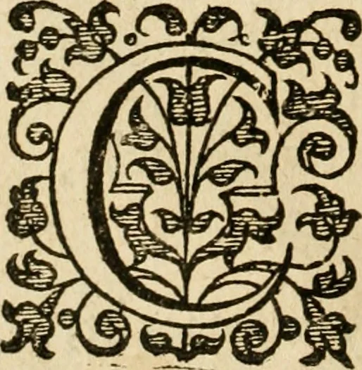 An illustration from Dan. Heinsii Nederduytsche poemata, 1616, leaf 55