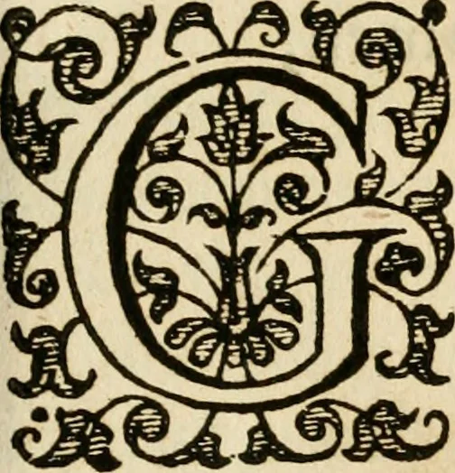 An illustration from Dan. Heinsii Nederduytsche poemata, 1616, leaf 62