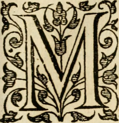 An illustration from Dan. Heinsii Nederduytsche poemata, 1616, leaf 66