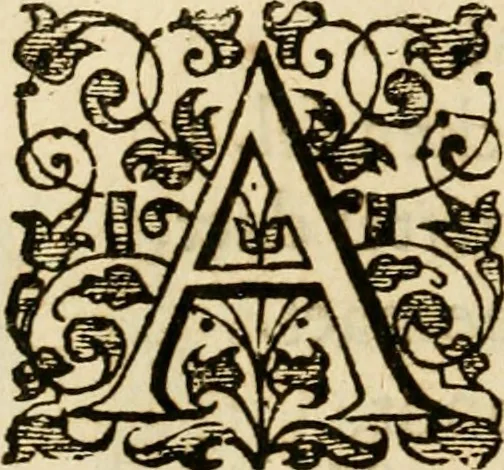 An illustration from Dan. Heinsii Nederduytsche poemata, 1616, leaf 69