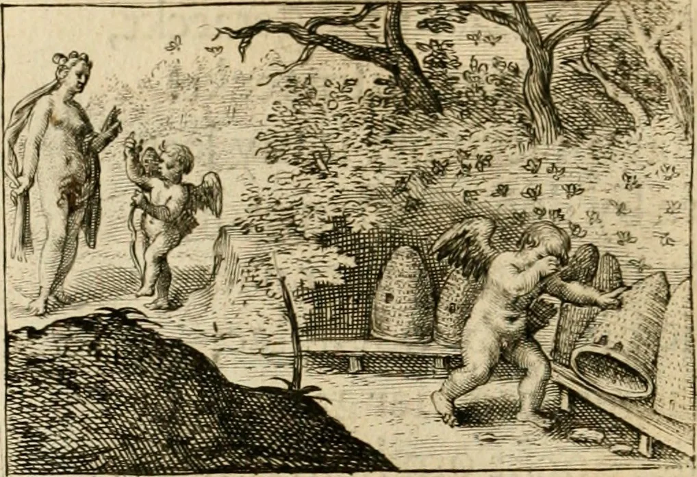An illustration from Dan. Heinsii Nederduytsche poemata, 1616, leaf 71