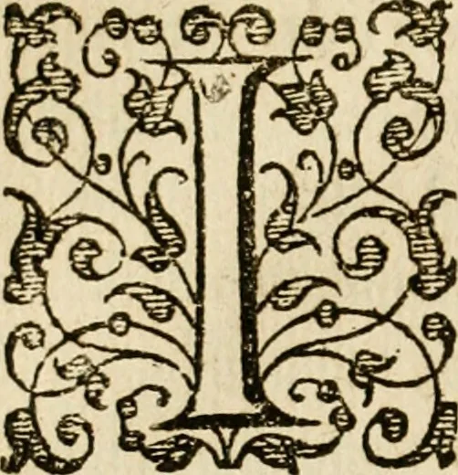 An illustration from Dan. Heinsii Nederduytsche poemata, 1616, leaf 77