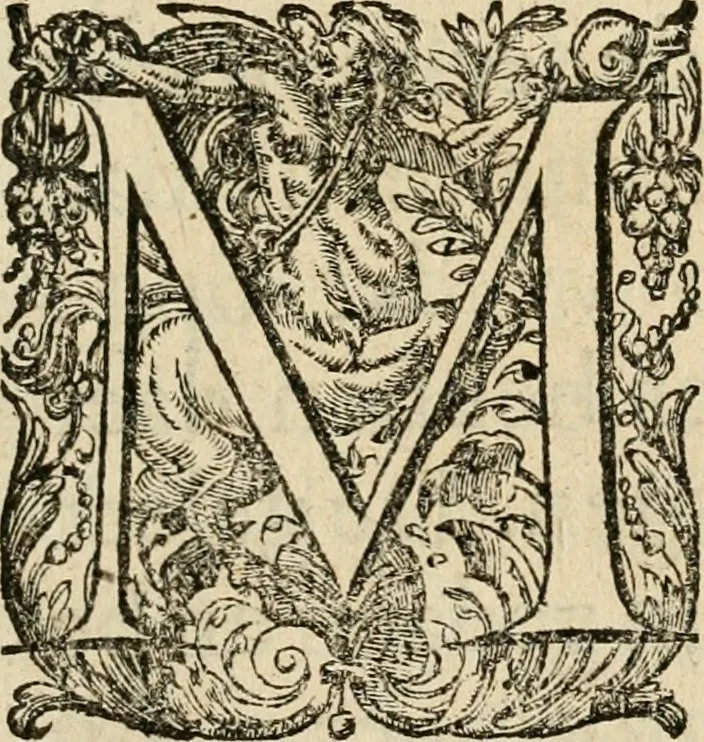 An illustration from Dan. Heinsii Nederduytsche poemata, 1616, leaf 8