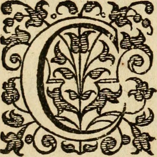 An illustration from Dan. Heinsii Nederduytsche poemata, 1616, leaf 83