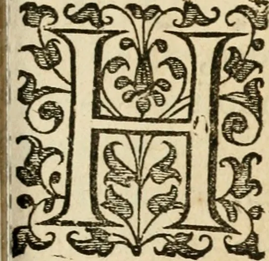 An illustration from Dan. Heinsii Nederduytsche poemata, 1616, leaf 88