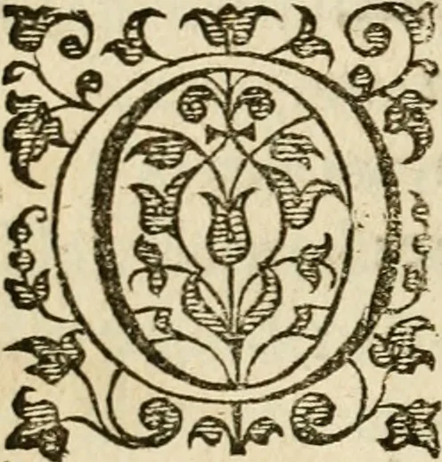 An illustration from Dan. Heinsii Nederduytsche poemata, 1616, leaf 91