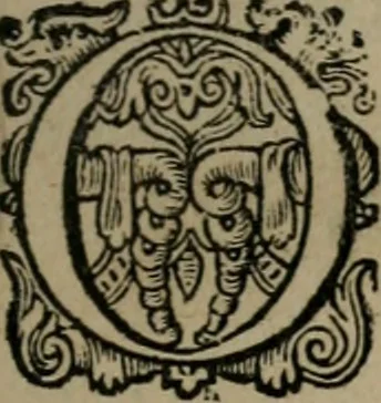 An illustration from Dan. Heinsii Nederduytsche poemata, 1618, leaf 30