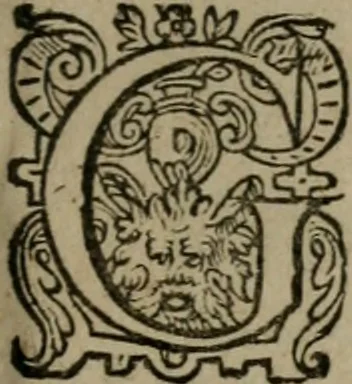 An illustration from Dan. Heinsii Nederduytsche poemata, 1618, leaf 36