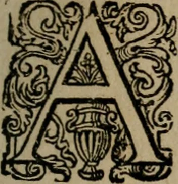 An illustration from Dan. Heinsii Nederduytsche poemata, 1618, leaf 38