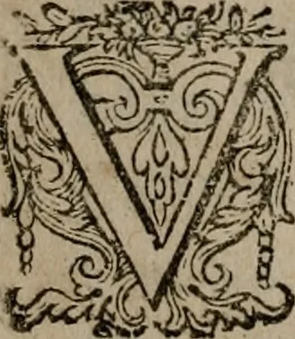 An illustration from Dan. Heinsii Nederduytsche poemata, 1618, leaf 41