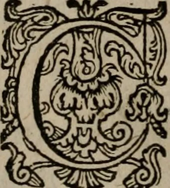 An illustration from Dan. Heinsii Nederduytsche poemata, 1618, leaf 49