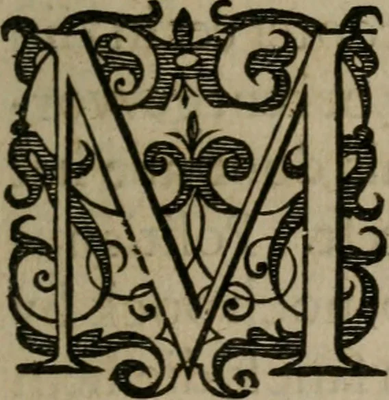 An illustration from Dan. Heinsii Nederduytsche poemata, 1618, leaf 6