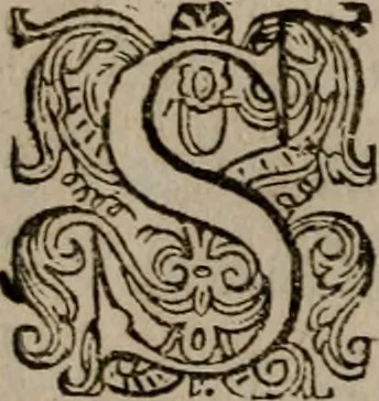 An illustration from Dan. Heinsii Nederduytsche poemata, 1618, leaf 61