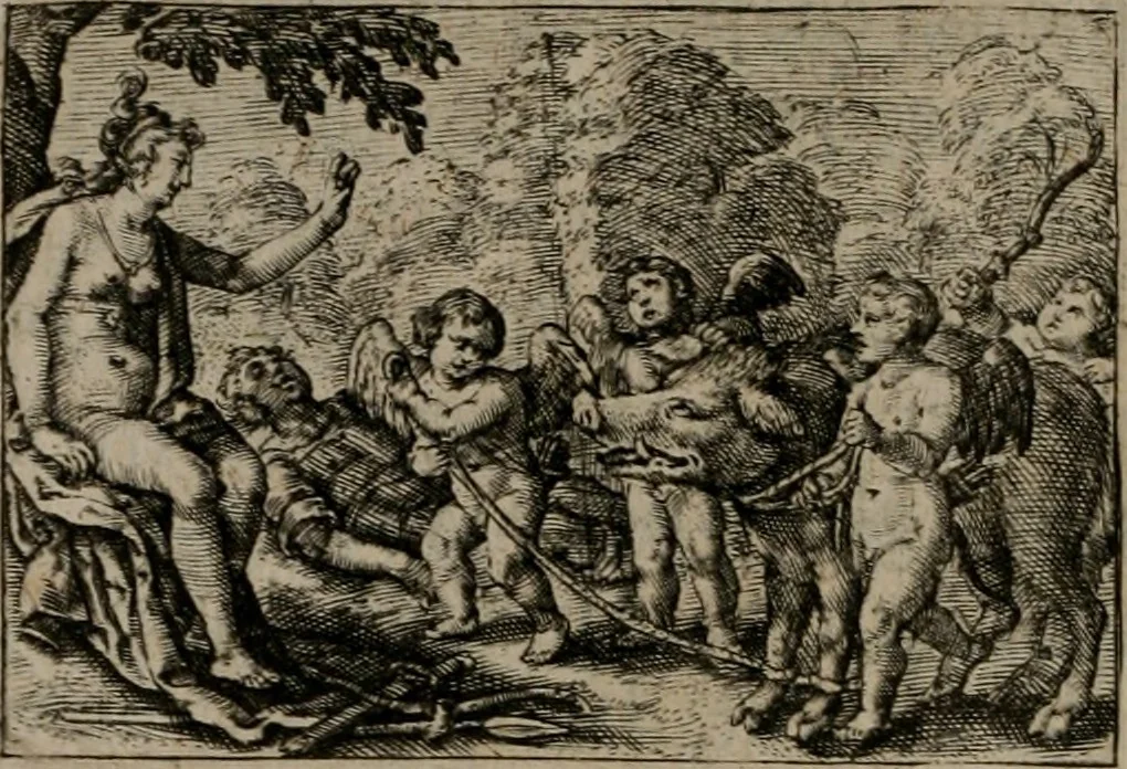 An illustration from Dan. Heinsii Nederduytsche poemata, 1618, leaf 63
