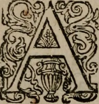 An illustration from Dan. Heinsii Nederduytsche poemata, 1618, leaf 63