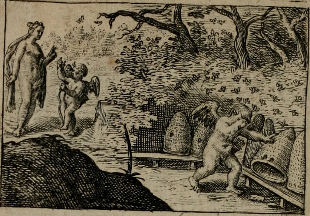 An illustration from Dan. Heinsii Nederduytsche poemata, 1618, leaf 65