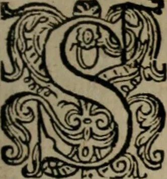 An illustration from Dan. Heinsii Nederduytsche poemata, 1618, leaf 66