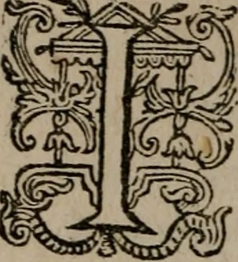 An illustration from Dan. Heinsii Nederduytsche poemata, 1618, leaf 71